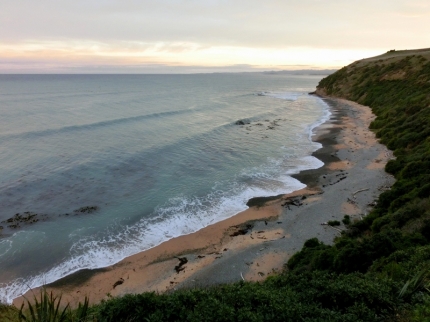 catlins (66)